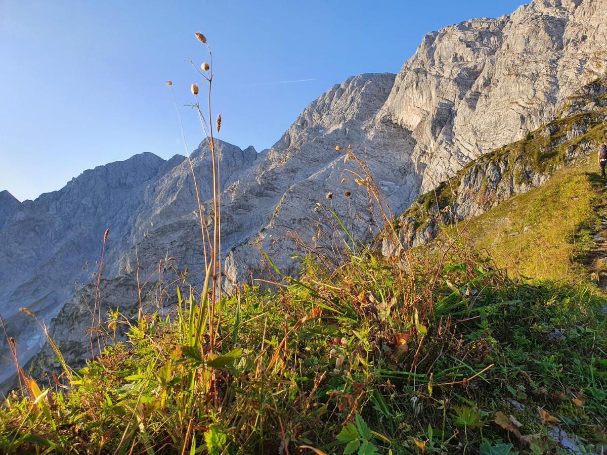 Ferienwohnungen Gaestehaus Laercheck Berchtesgaden Exterior foto